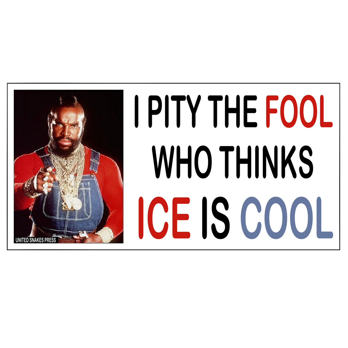 PITY THE FOOL BUMPER STICKER