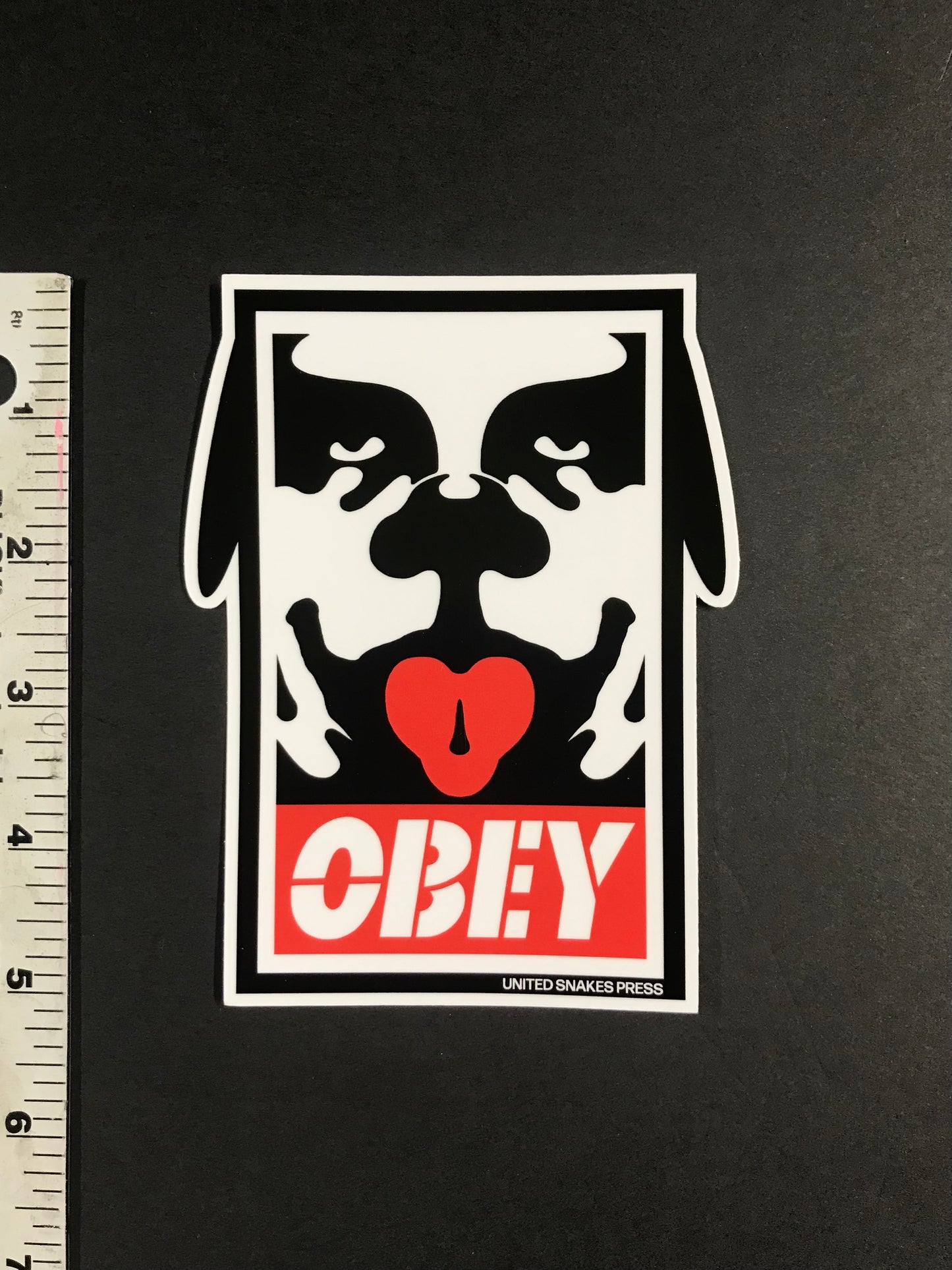 BIG DOG GIANT STICKER