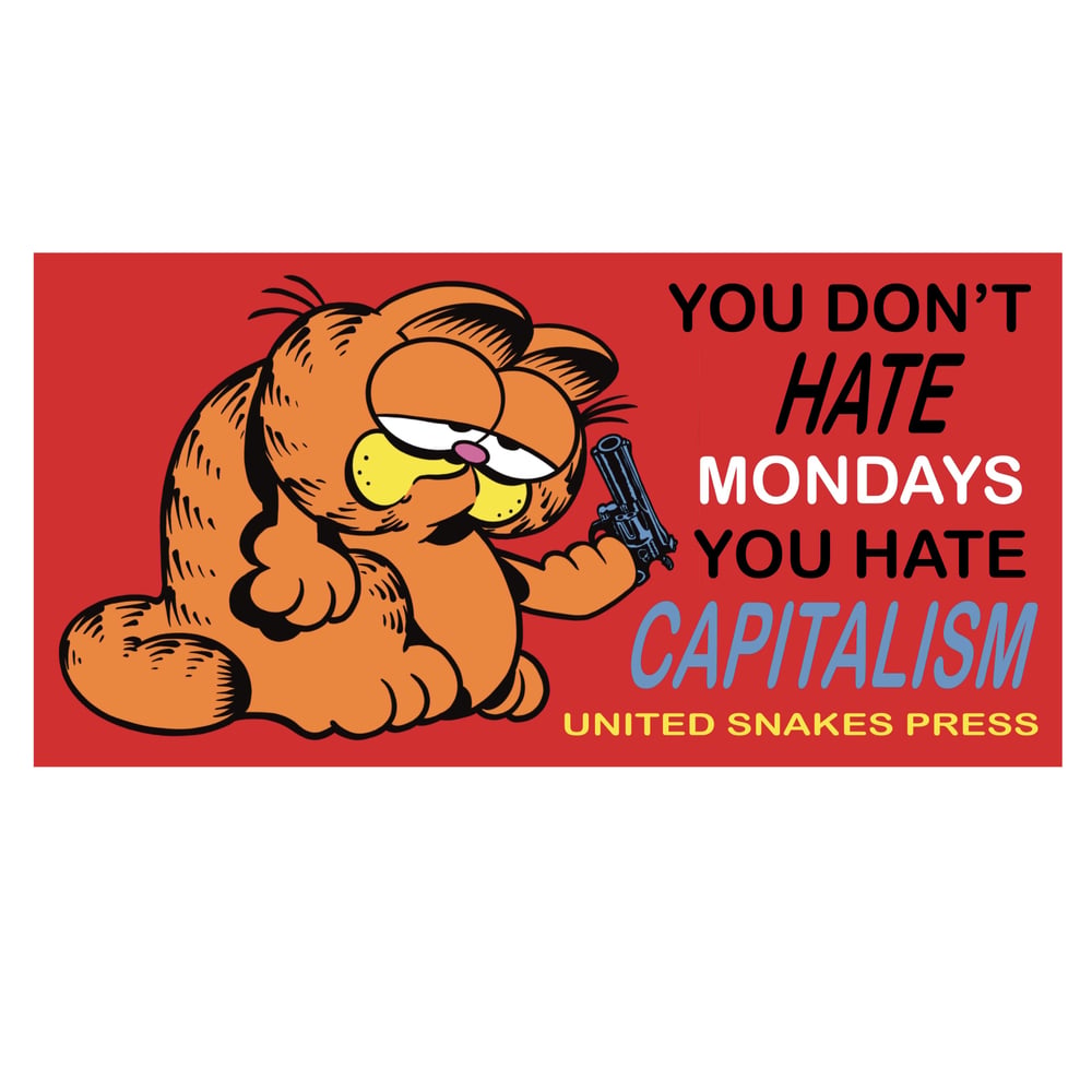HATE CAPITALISM BUMPER STICKER